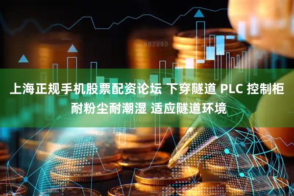 上海正规手机股票配资论坛 下穿隧道 PLC 控制柜 耐粉尘耐潮湿 适应隧道环境