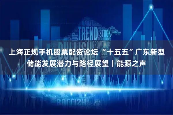 上海正规手机股票配资论坛 “十五五”广东新型储能发展潜力与路径展望丨能源之声