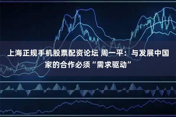 上海正规手机股票配资论坛 周一平：与发展中国家的合作必须“需求驱动”
