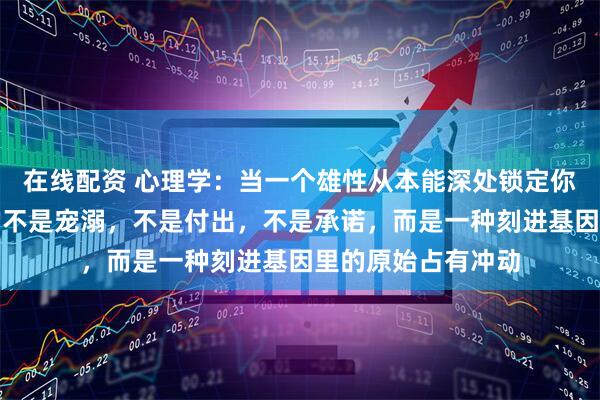 在线配资 心理学:当一个雄性从本能深处锁定你时,最先出卖他的不是宠溺,不是付出,不是承诺,而是一种刻进基因里的原始占有冲动